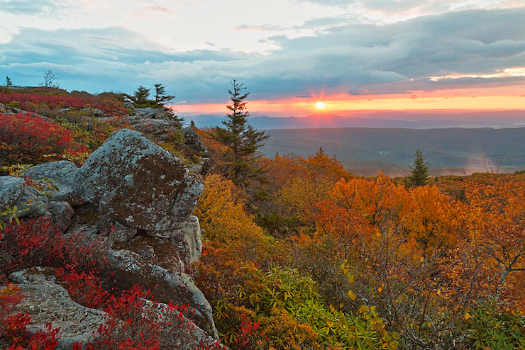 autumn sunrise Bear Rocks Dolly Sods wilderness Davis West Virginia