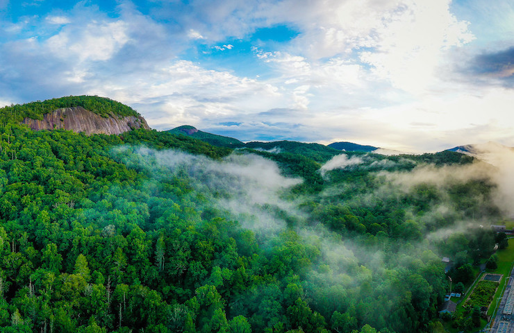 Johns Rock in Pisgah National Forest North Carolina Christmas Trees