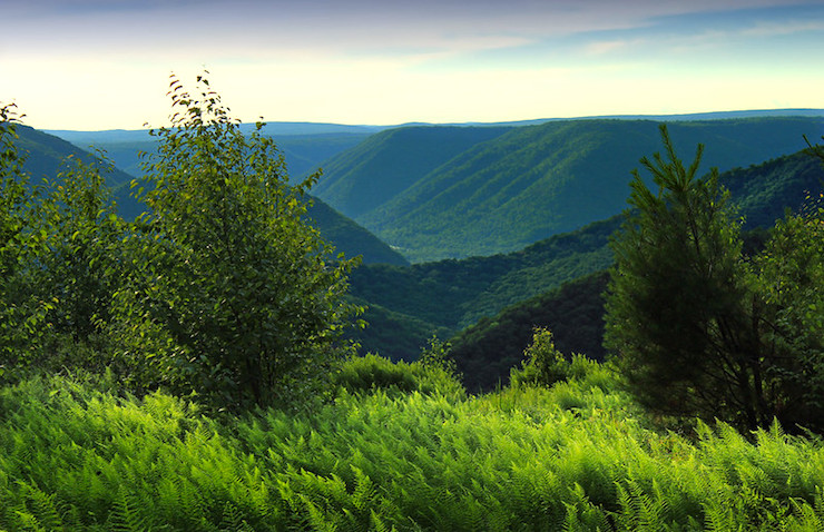 West Branch Forest Mountains-Pennsylvania