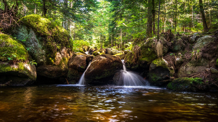 Stream waterfall Dave Malone