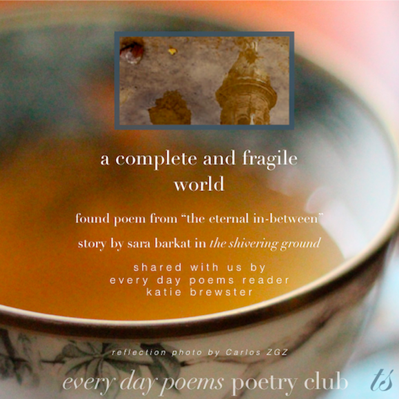 a complete and fragile world "found poem" from sara barkat's the shivering ground