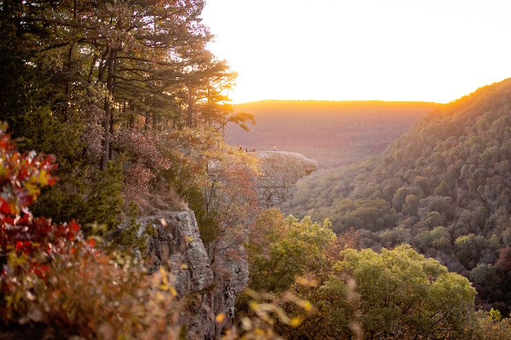 Arkansas Hawksbill Crag-Whitaker Point