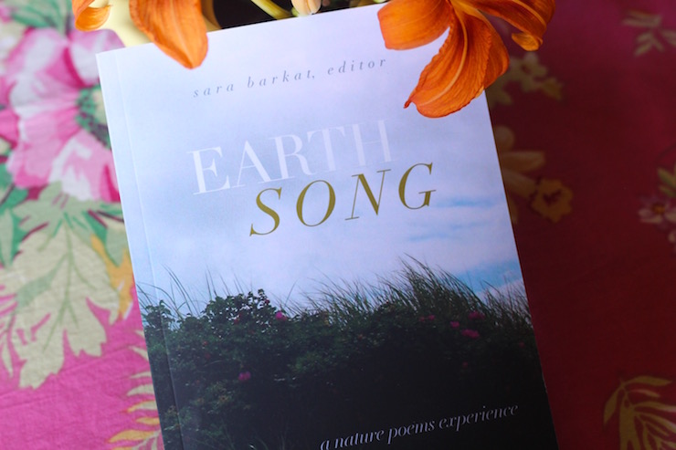 earth song nature poems climate poems daylilies