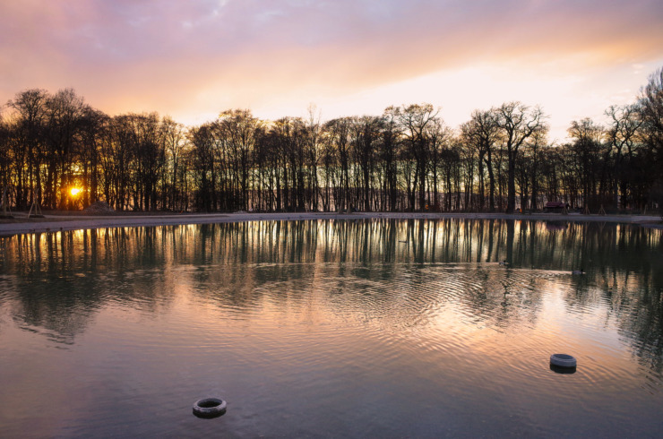 trees framing lake