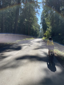 woman on bicycle road trees