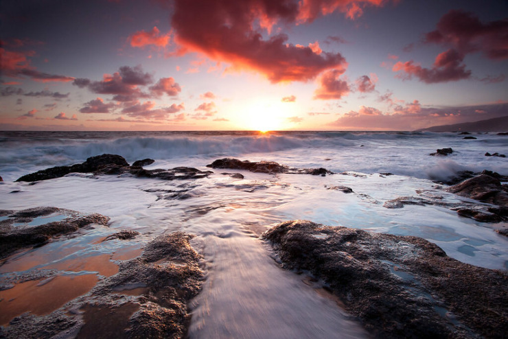 Rocky Seashore David Russell