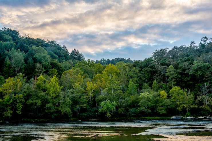 cumberland falls Kentucky US river trees