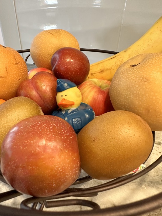 Military rubber duck in fruit bowl