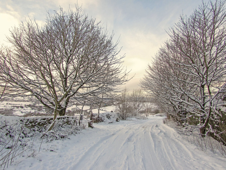 Snowy road in England Willome