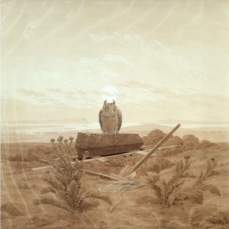 a brown owl rests on a coffin in a barren landscape. 