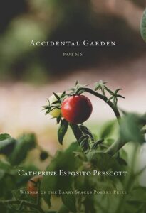 Accidental Garden Prescott