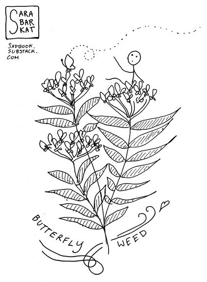 butterfly weed by sadbook collections
