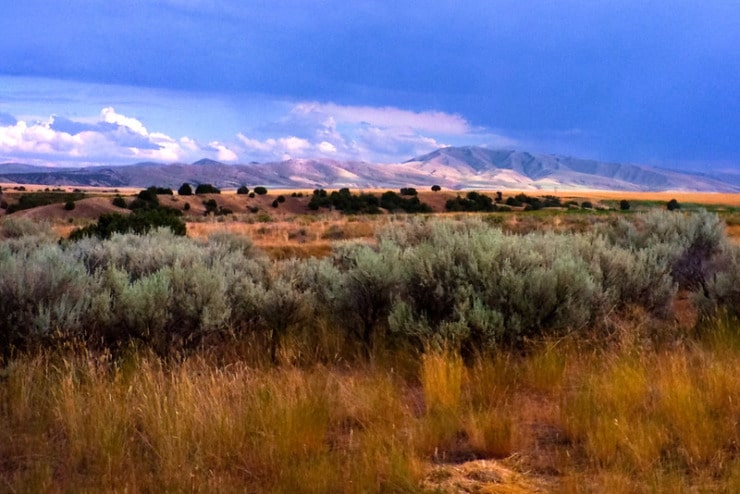 Idaho landscape Bromwich Sonnets