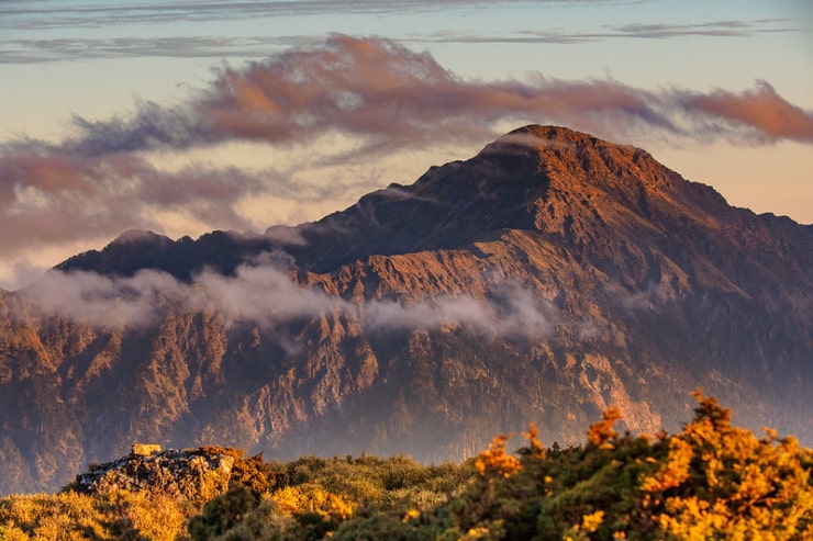 Mountain Cushman