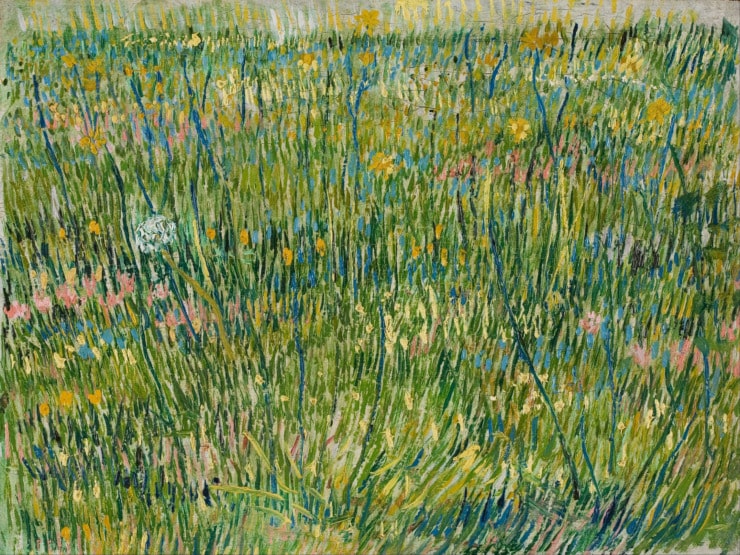 grass and flowers