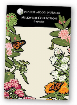 milkweed collection seeds prairie moon nurseries