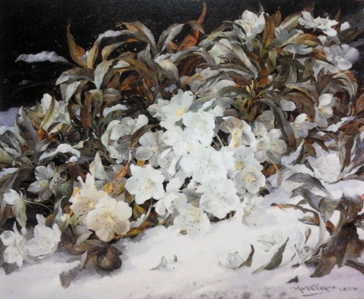 flowers are shown with snow and frost around them