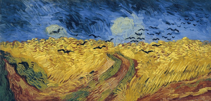 crows in a field 
