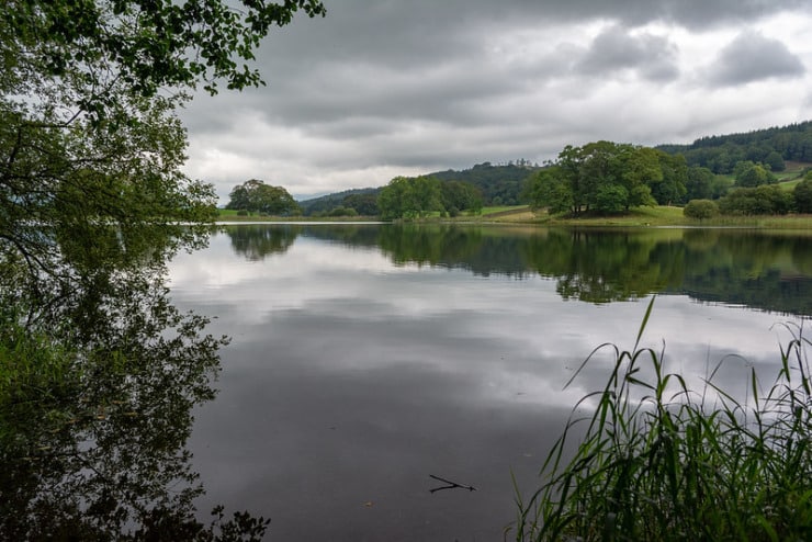 lake and trees poet laura