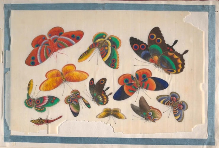 a painting of several different colored butterflies