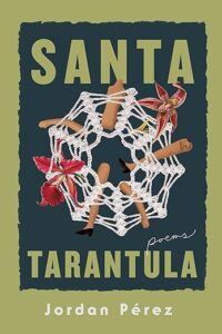 Santa Tarantula Perez