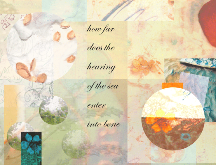 hearing of the sea question collage