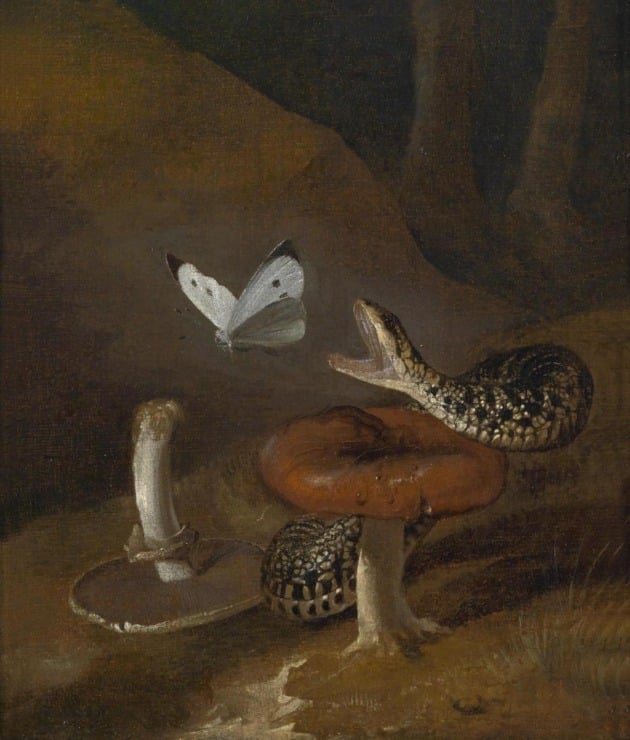 snake tries to bite a butterfly 