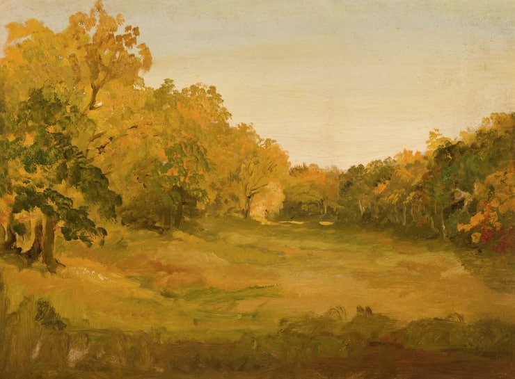 yellow landscape