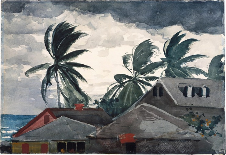 wind blowing palm trees and houses