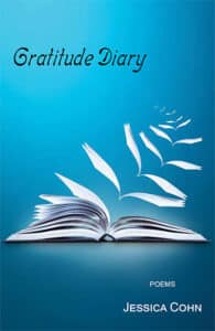 Gratitude Diary Cohn
