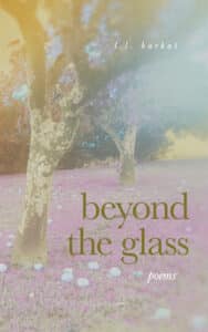 Beyond the Glass by L.L. Barkat Front Cover*