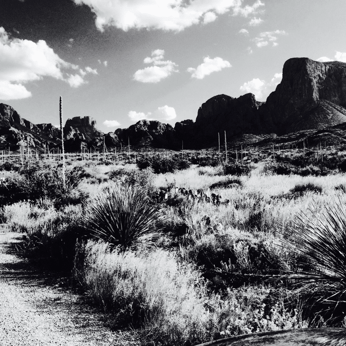 Chihuahuan Desert