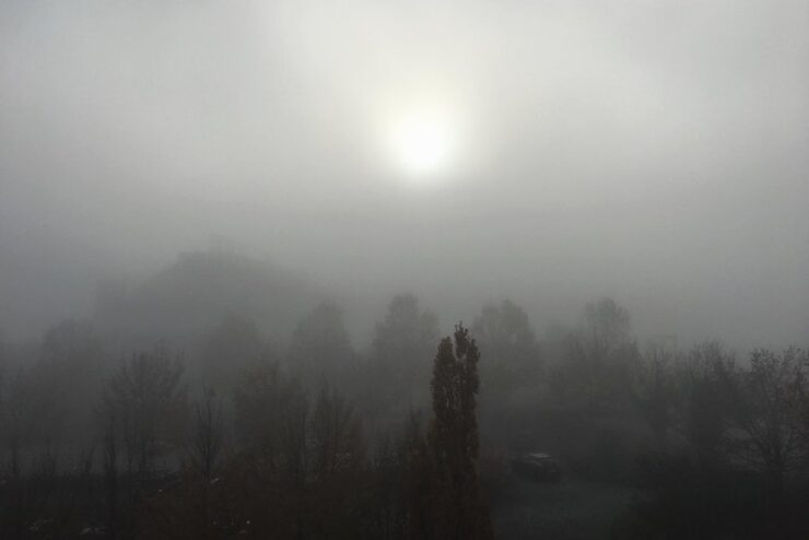 Foggy morning Jones