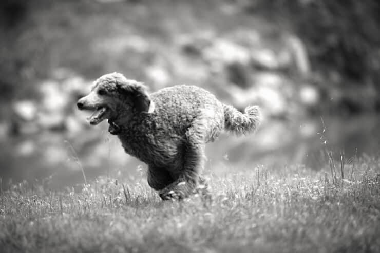 We Too Were Once on Fire Murphy