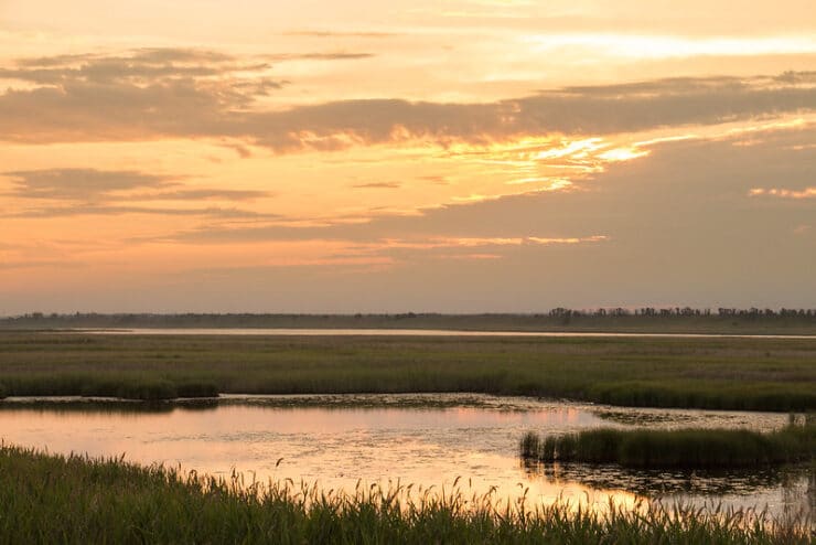 River at sunset Kiefer and Corso